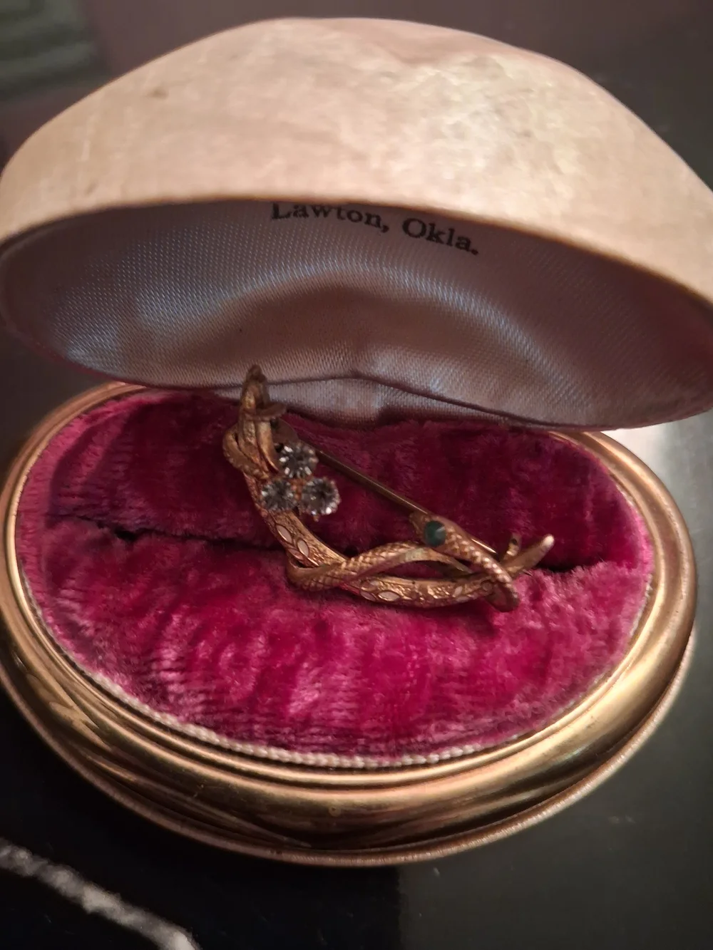 Scottish 1800s Victorian Snake Brooch